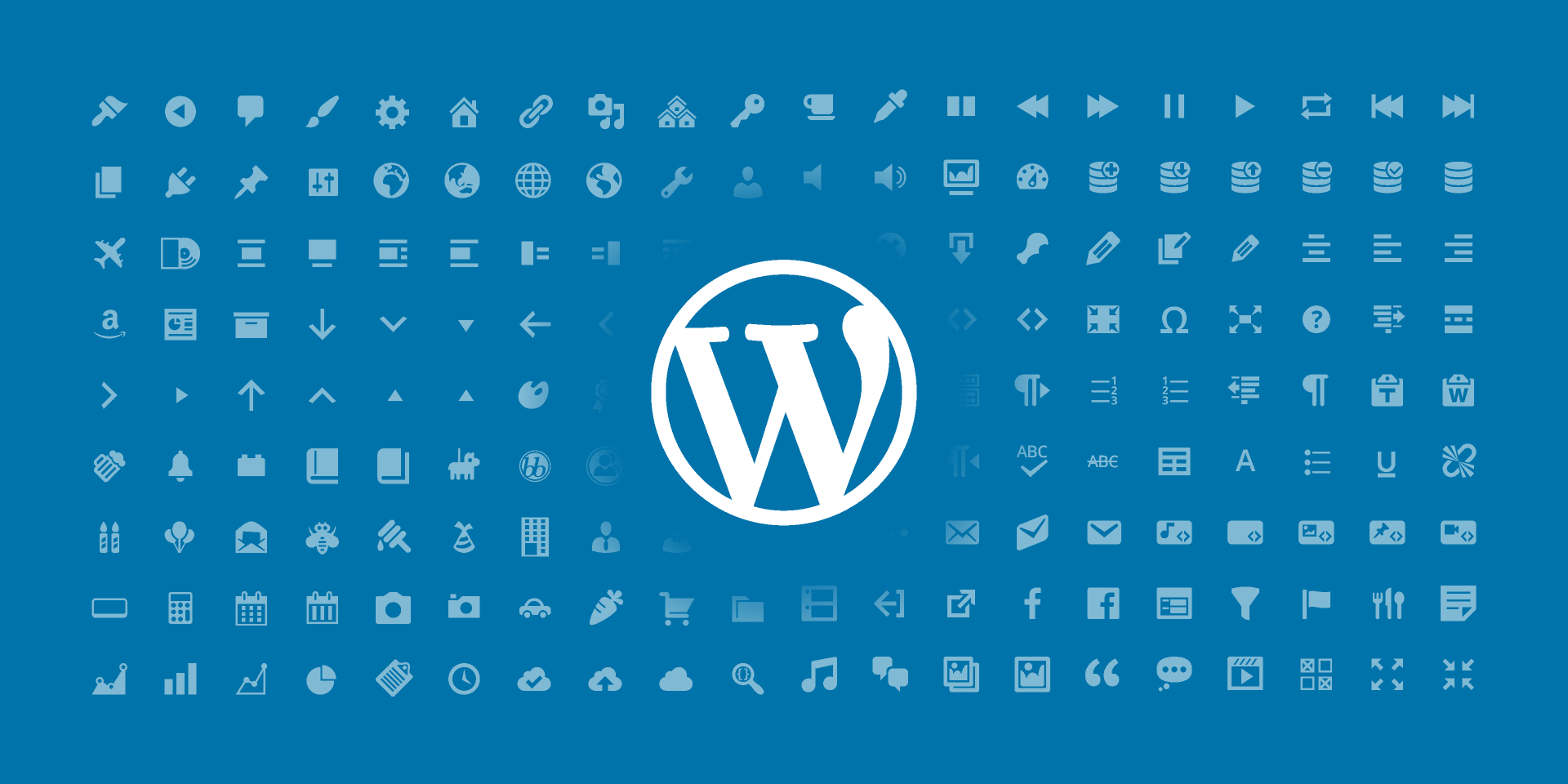 Wordpress Developer